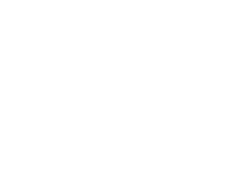 airForceEpee_transparent